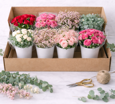 BUILD YOUR OWN BLOOM BOX
