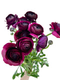 RANUNCULUS - PURPLE