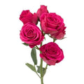 SPRAY ROSE - HOT PINK